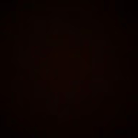 Meet your Posher, Gabby - Picture 1 of 1